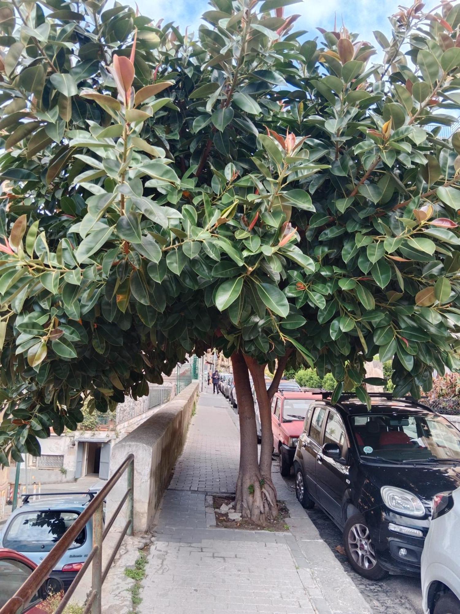 דירות נאפולי La Casa Del Sole מראה חיצוני תמונה